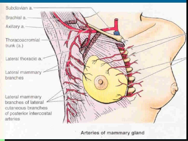 sternum pain and breast cancer Sternum pain and breast cancer